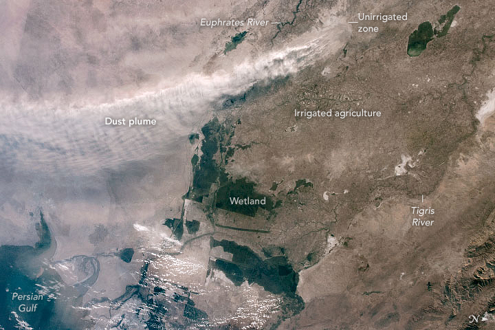 Perspectives on a Dust Storm