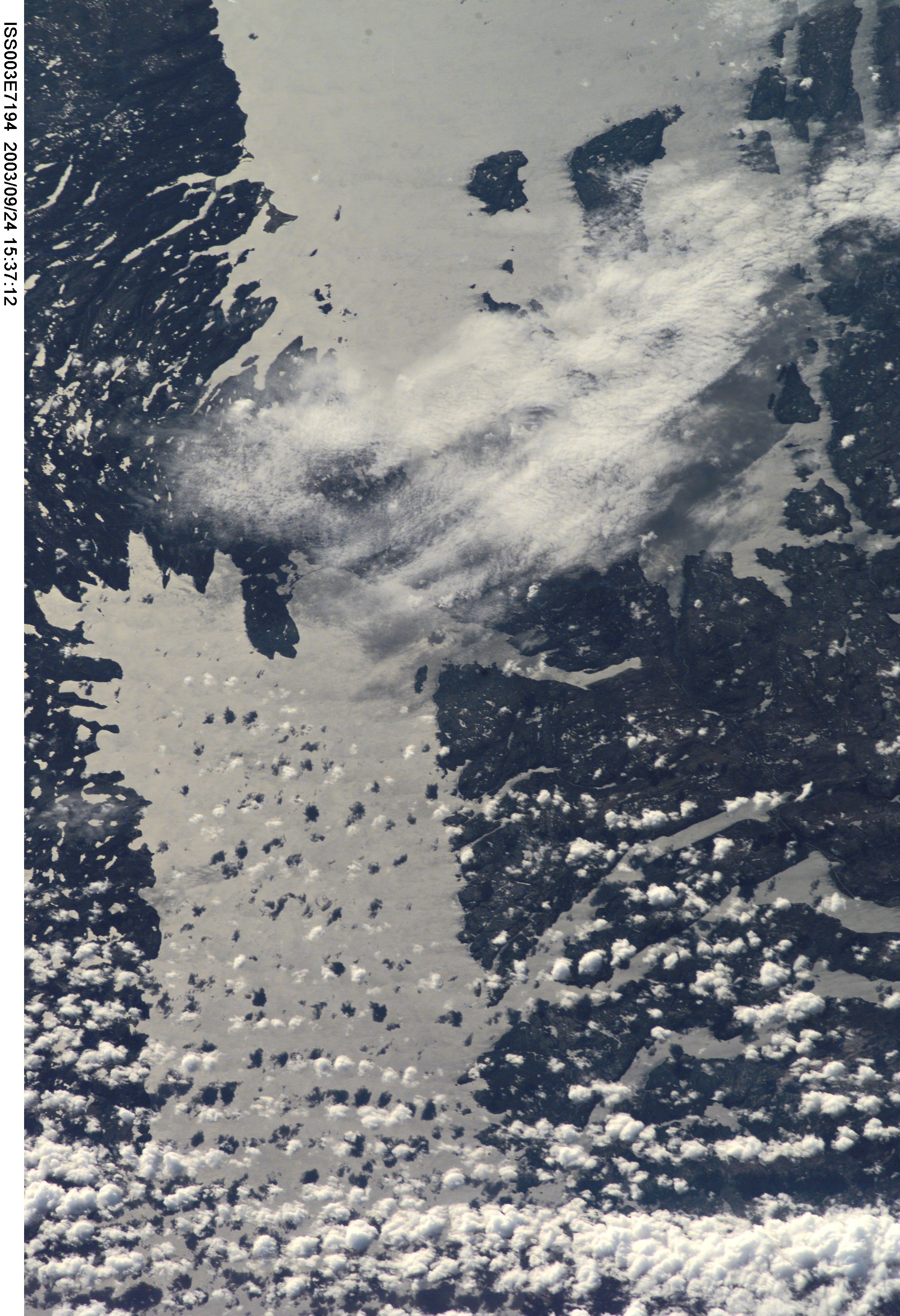 Image display
