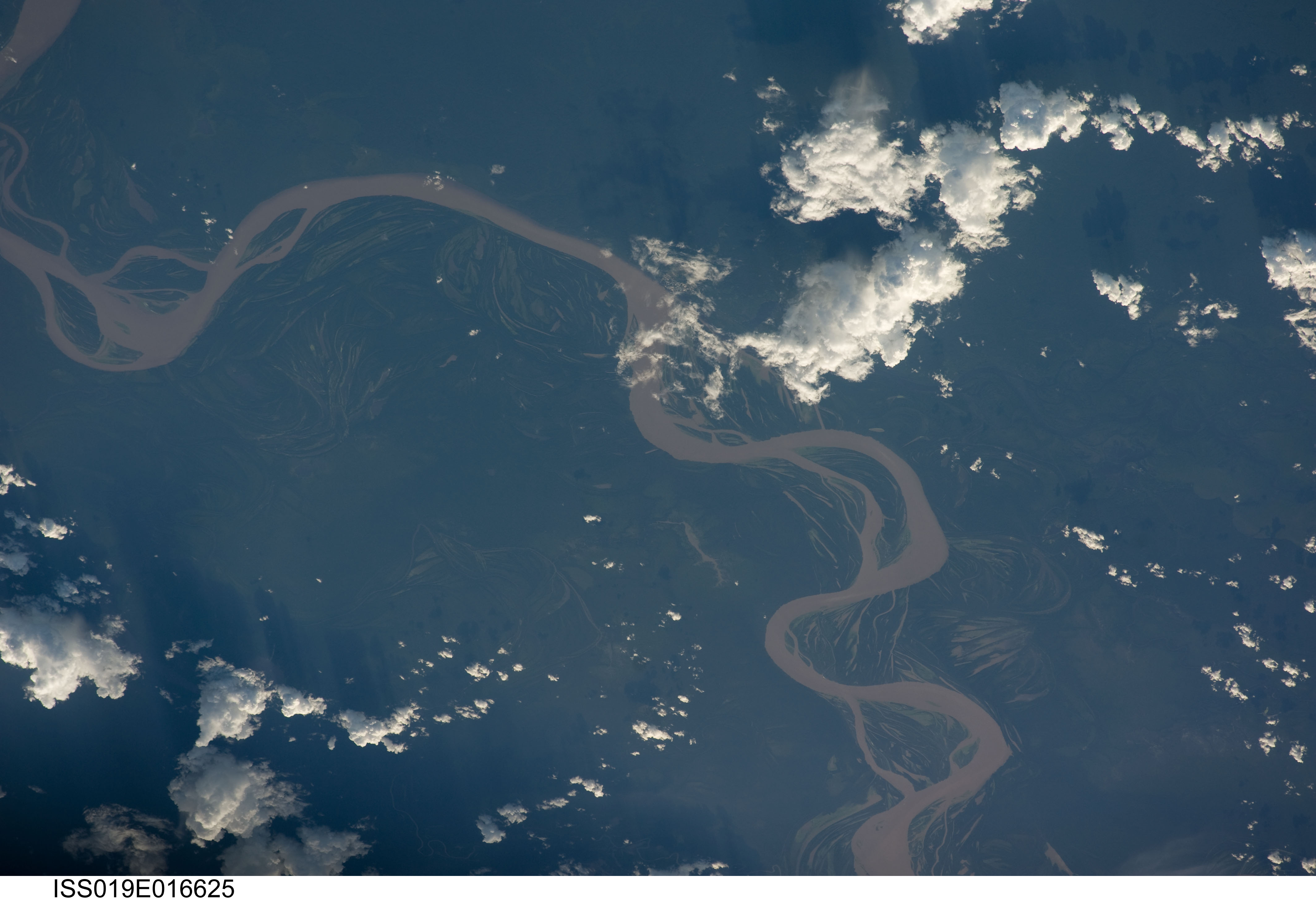 Image display