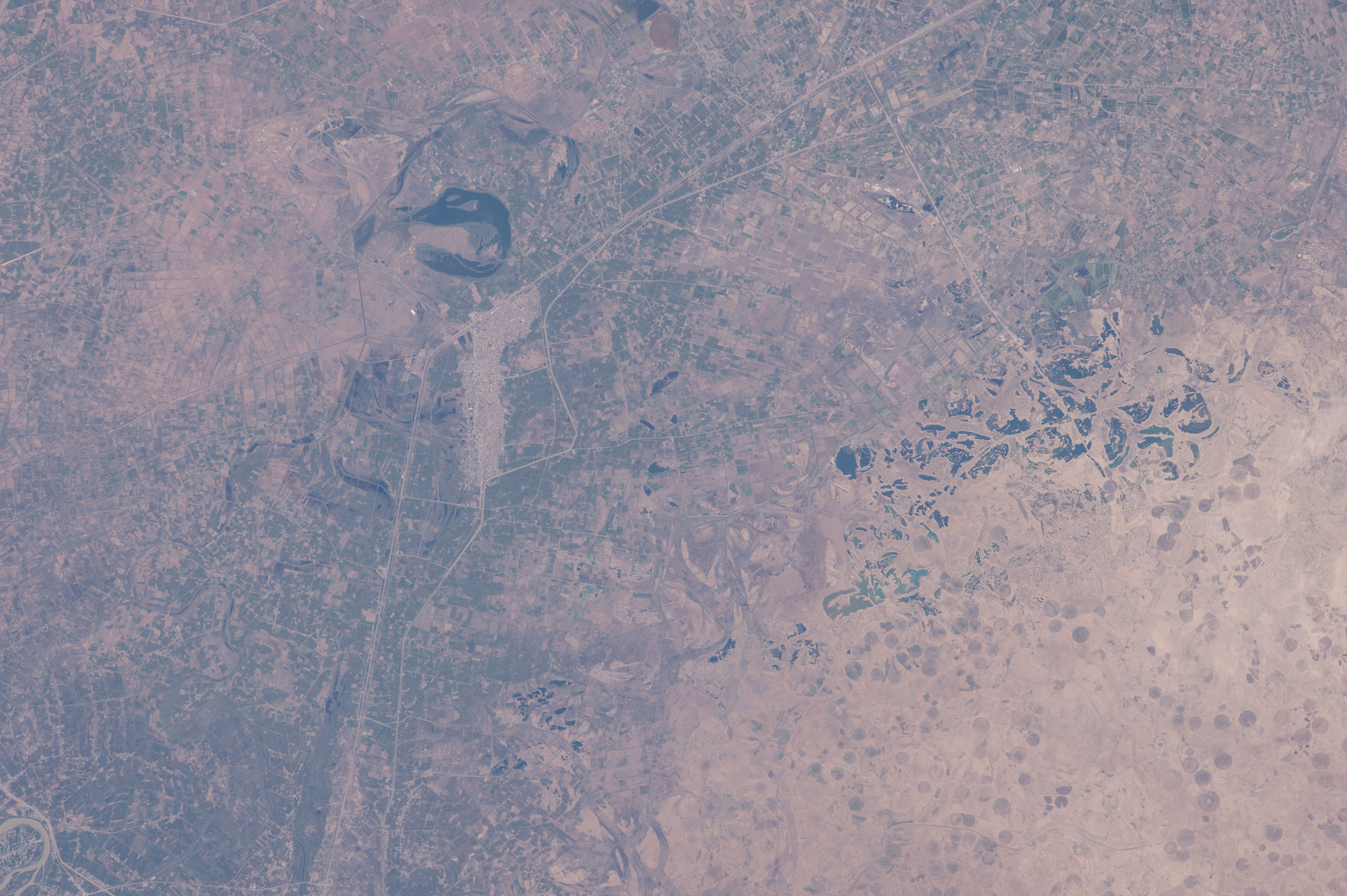 Image display