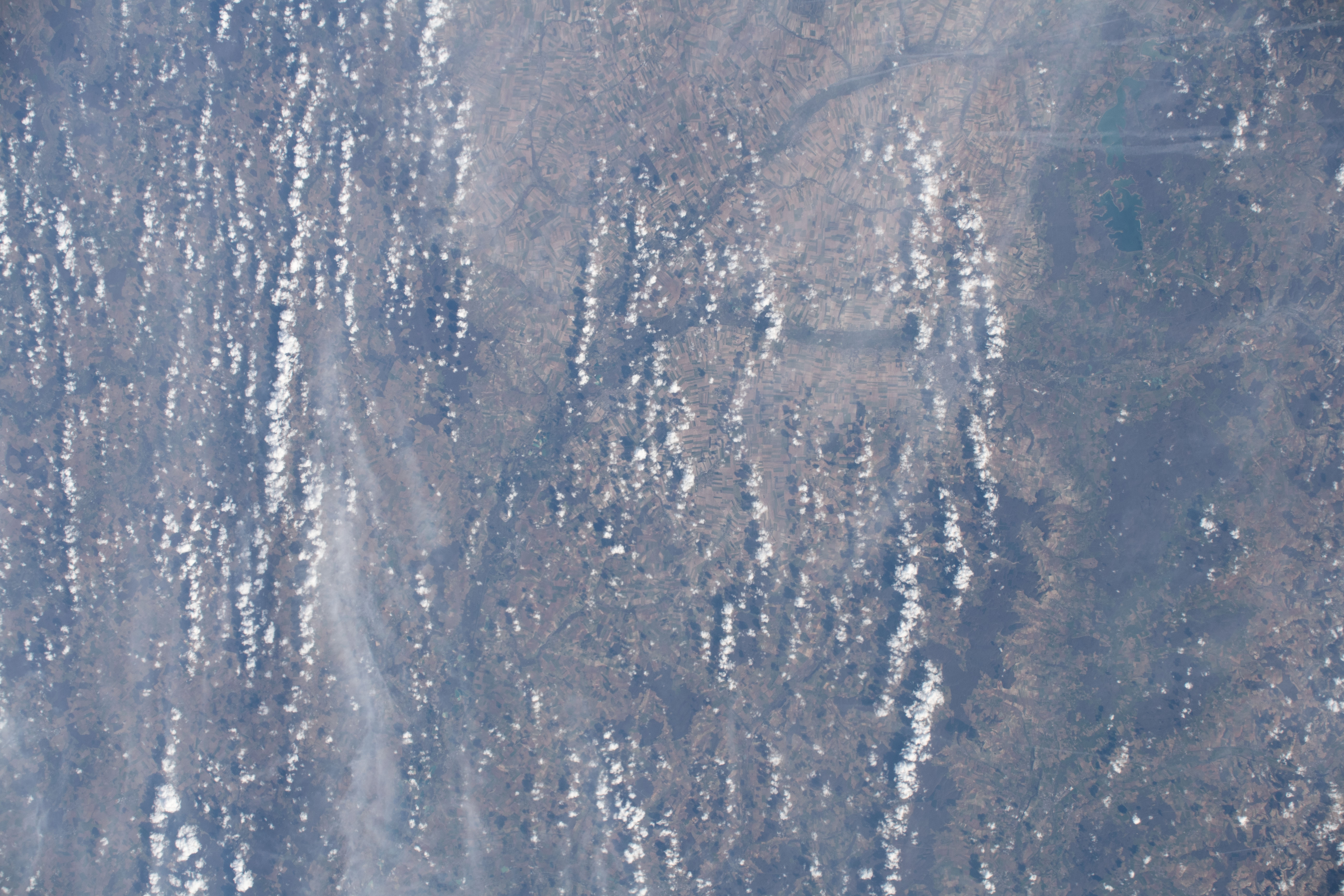 Image display