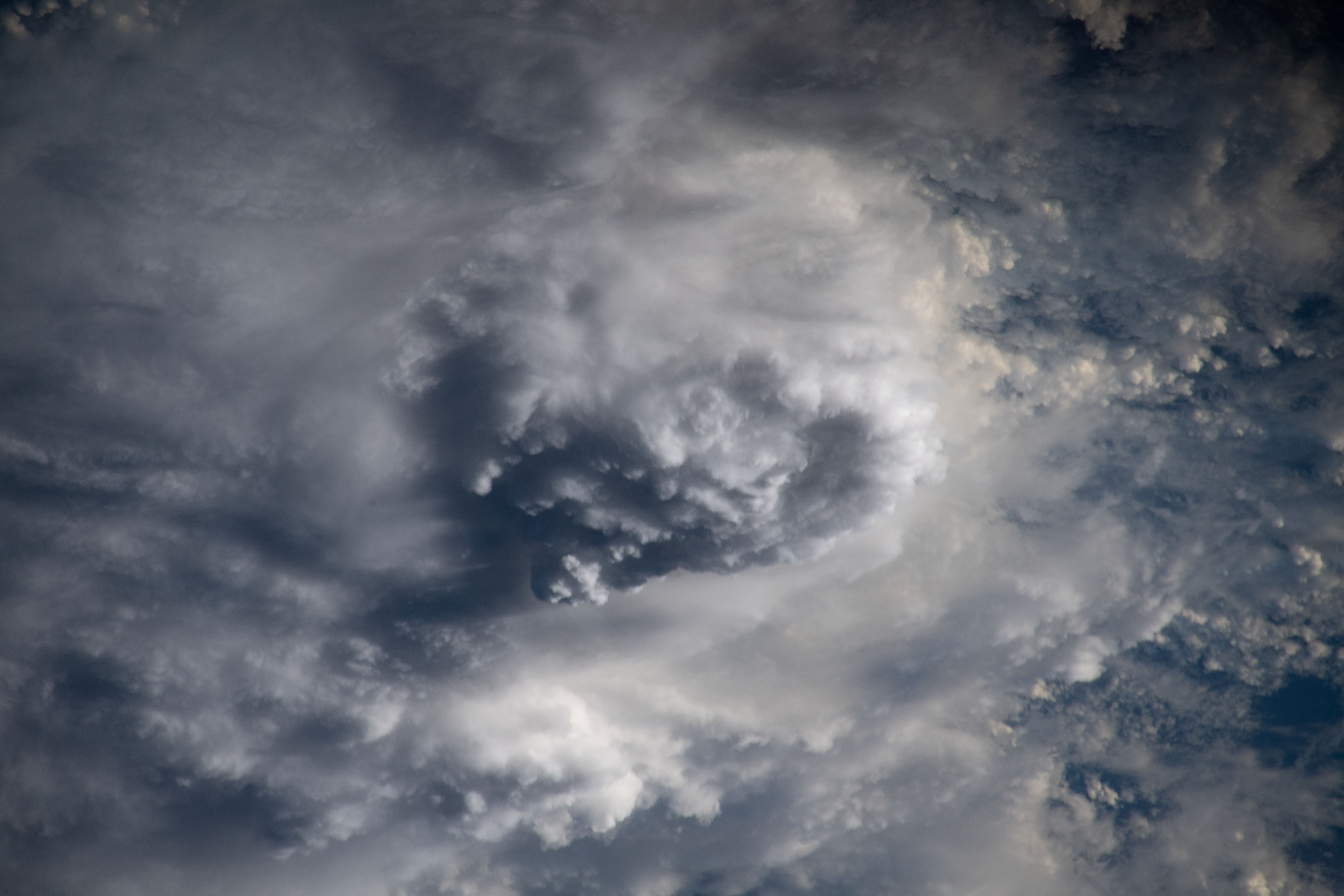Image display