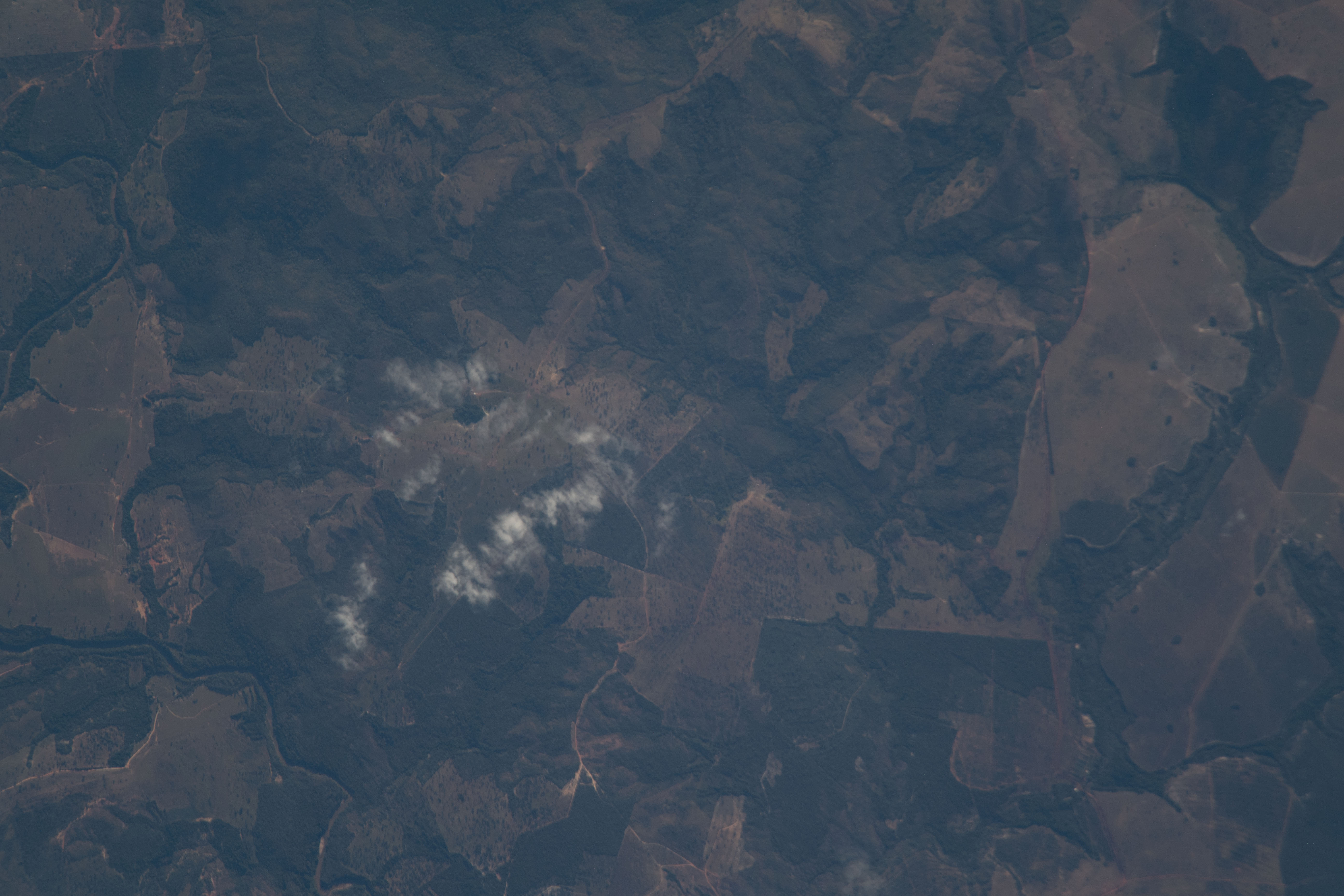 Image display