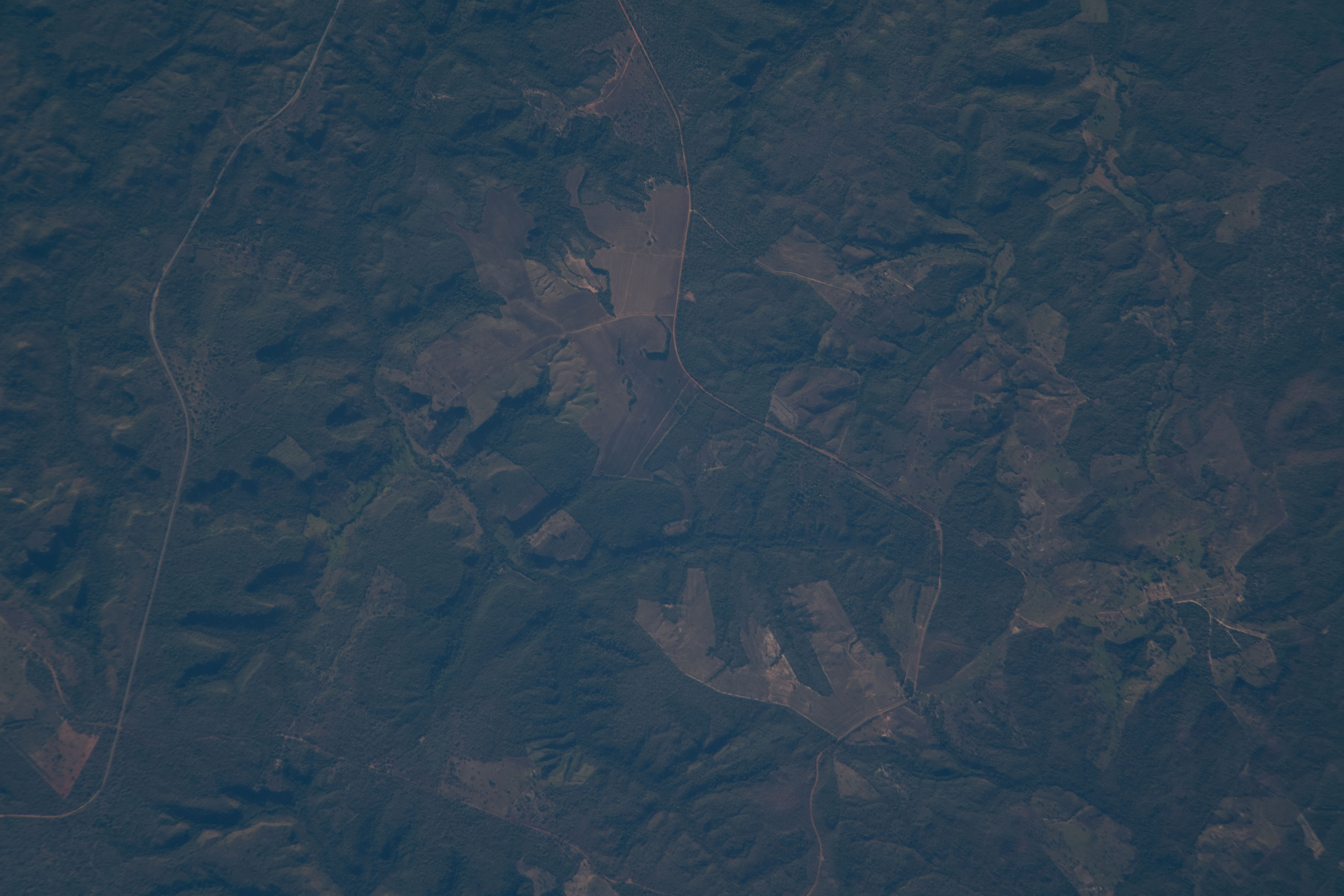 Image display
