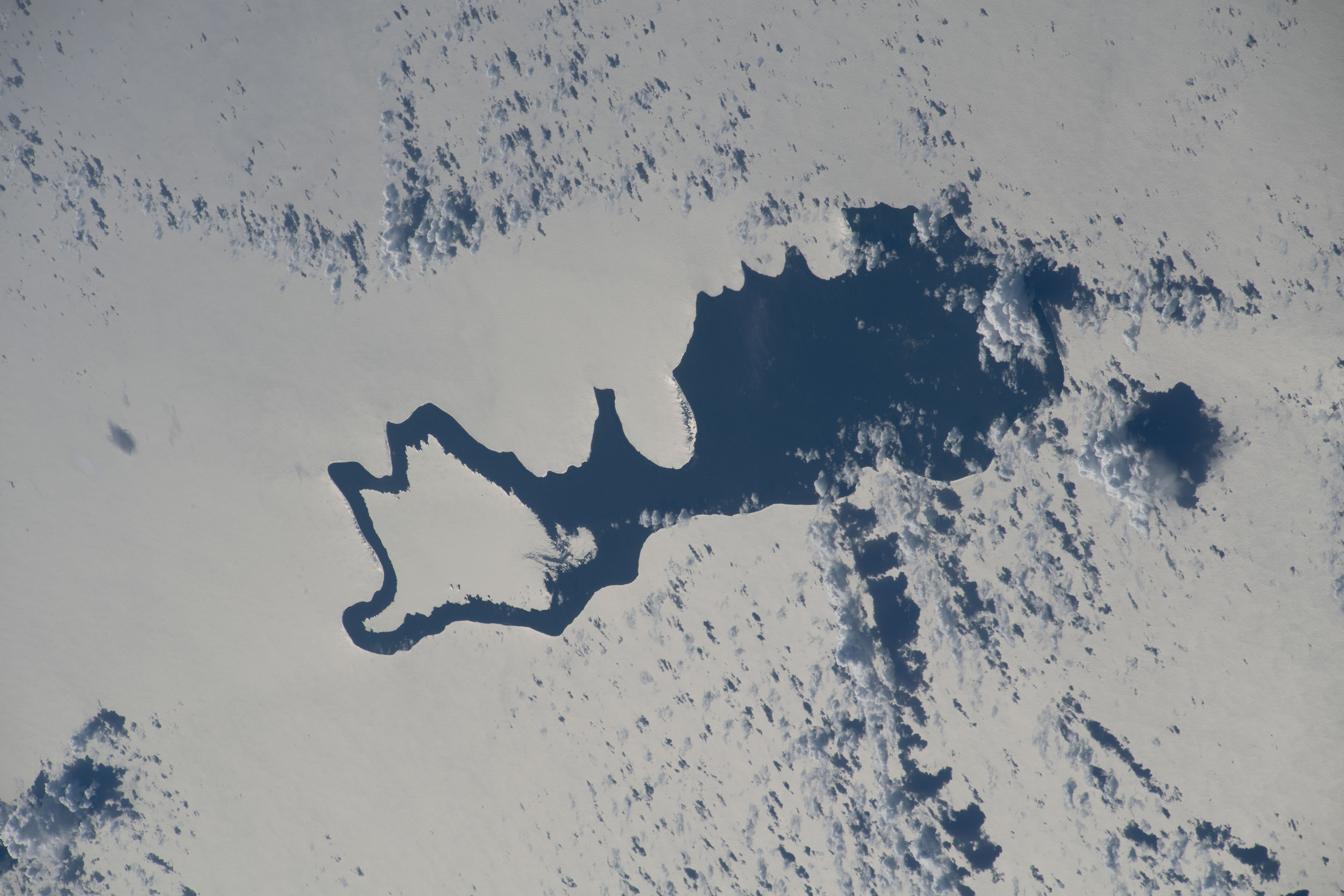 Image display