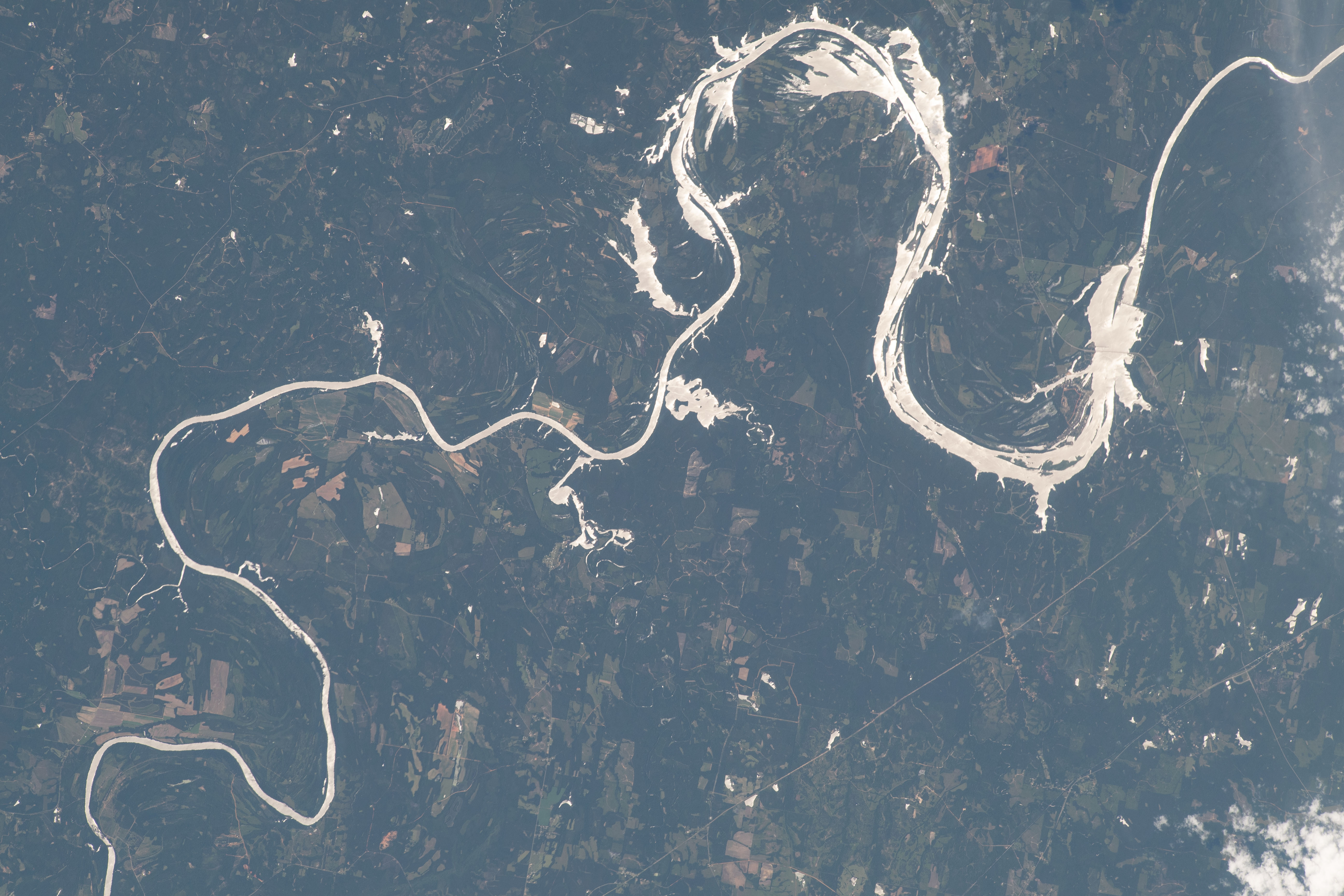 Bends of the Alabama River