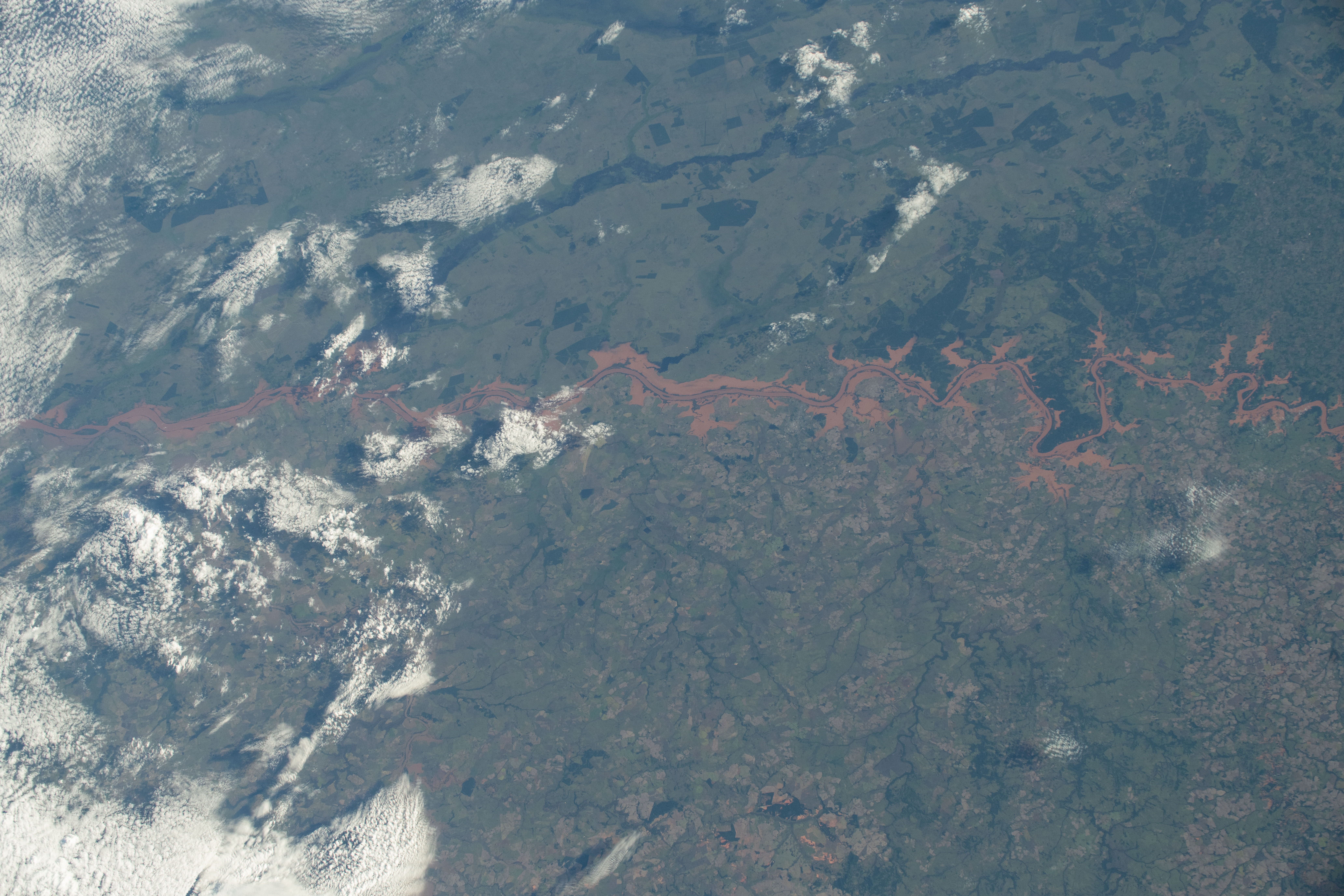 Image display