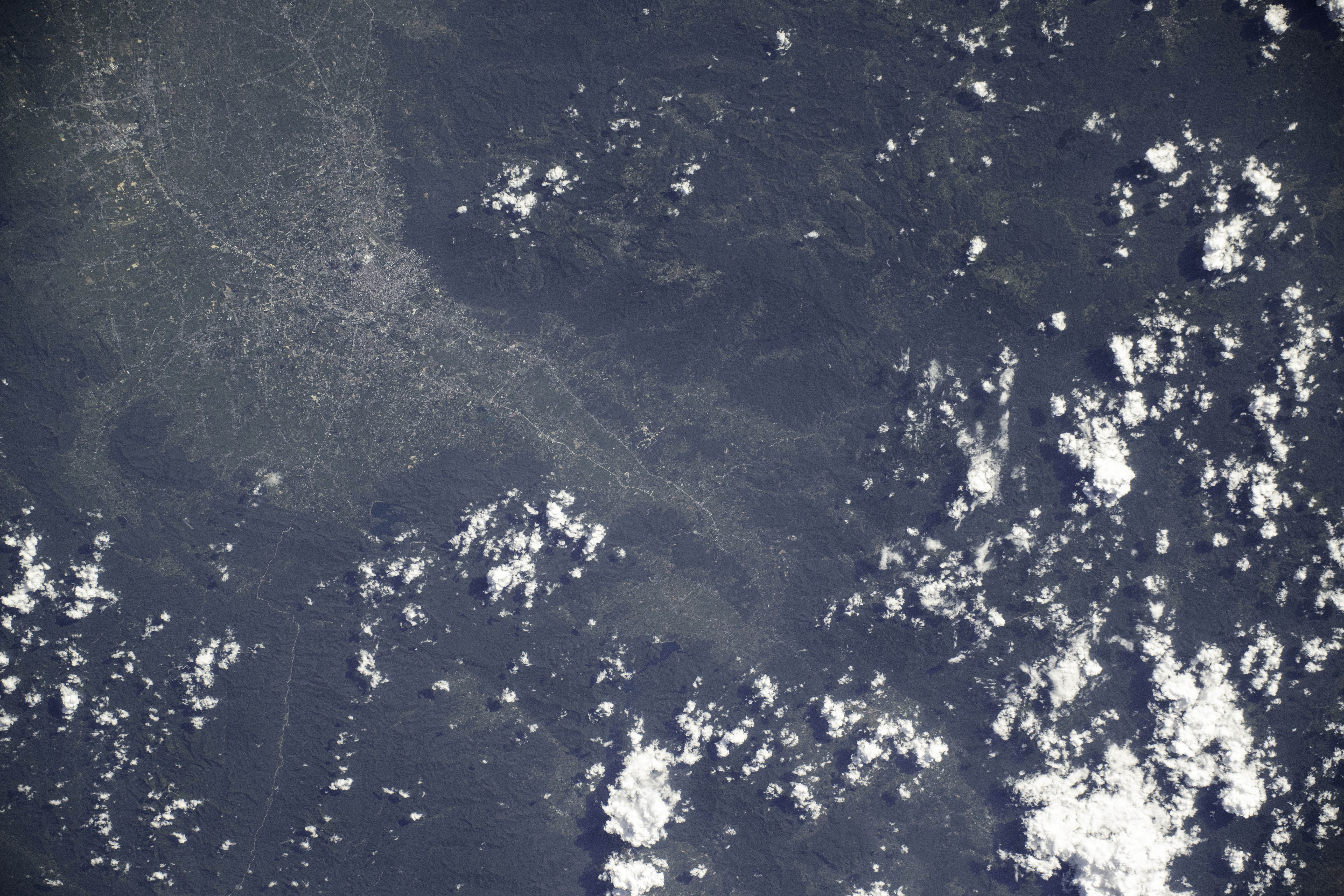 Image display
