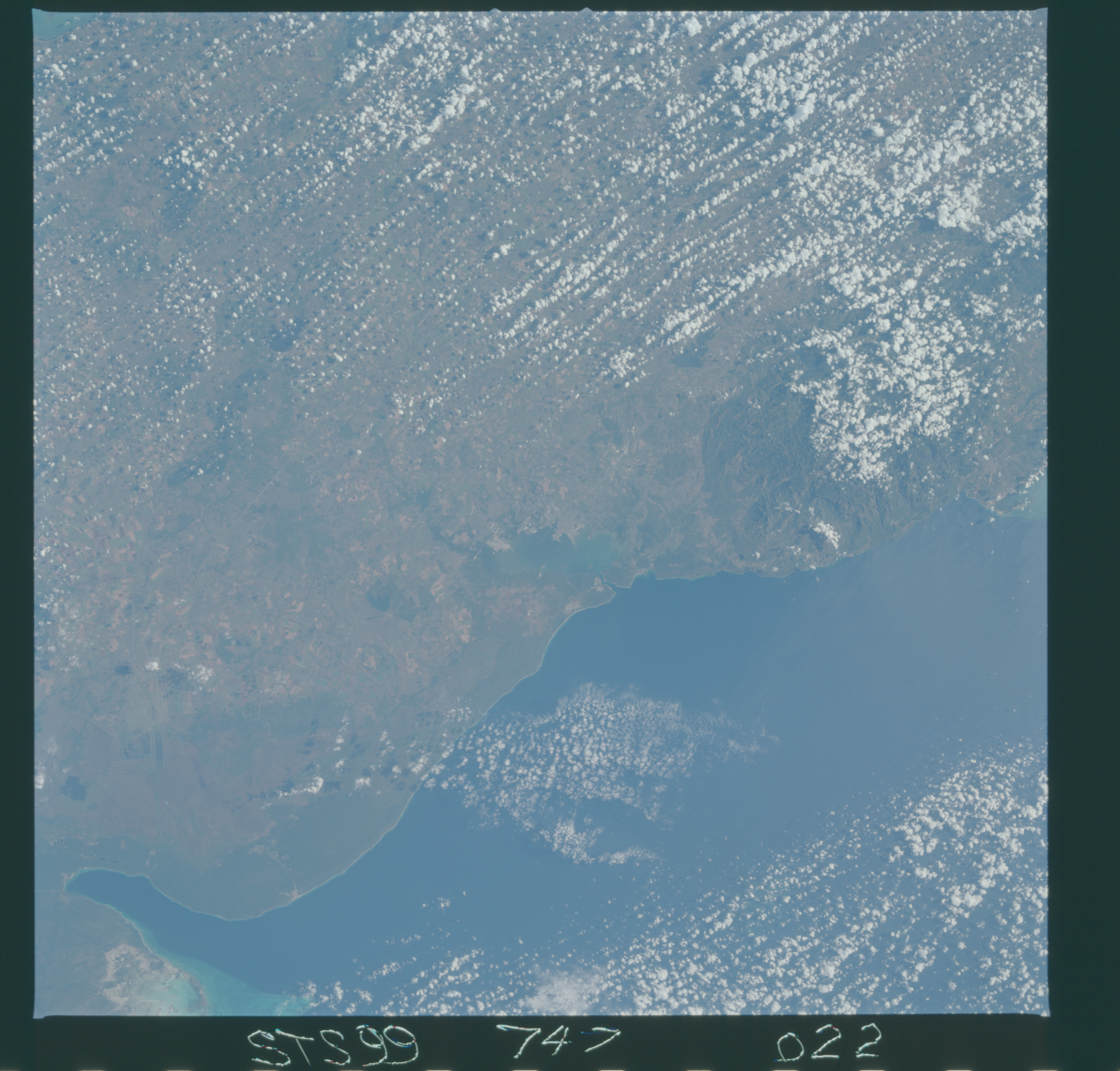 Image display