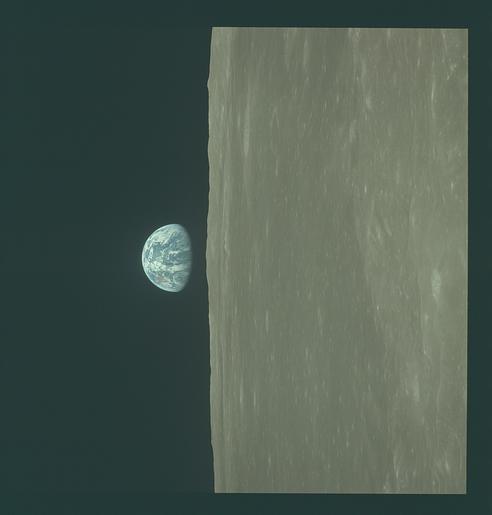 Image display