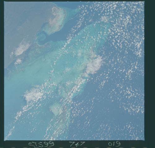 Image display