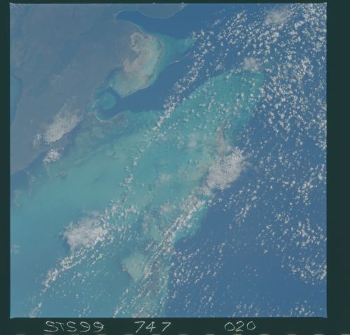 Image display