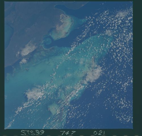 Image display