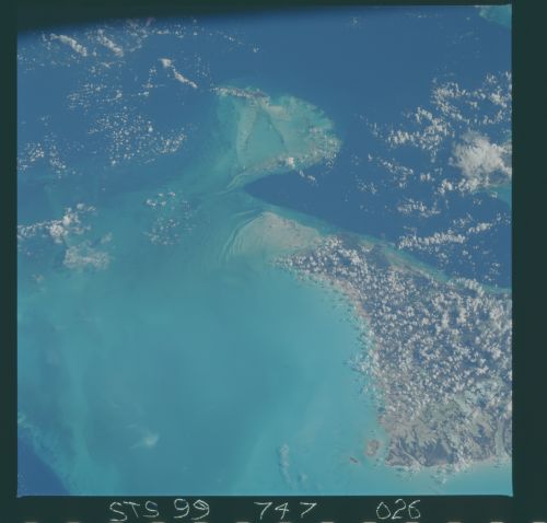 Image display