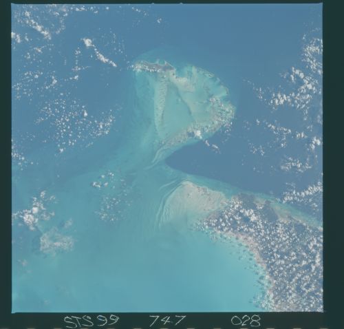 Image display