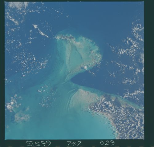 Image display