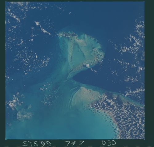 Image display