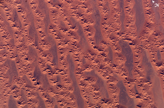 Photo: ISS010-E-10124