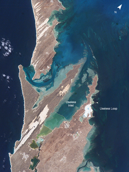 Photo: ISS010-E-6681