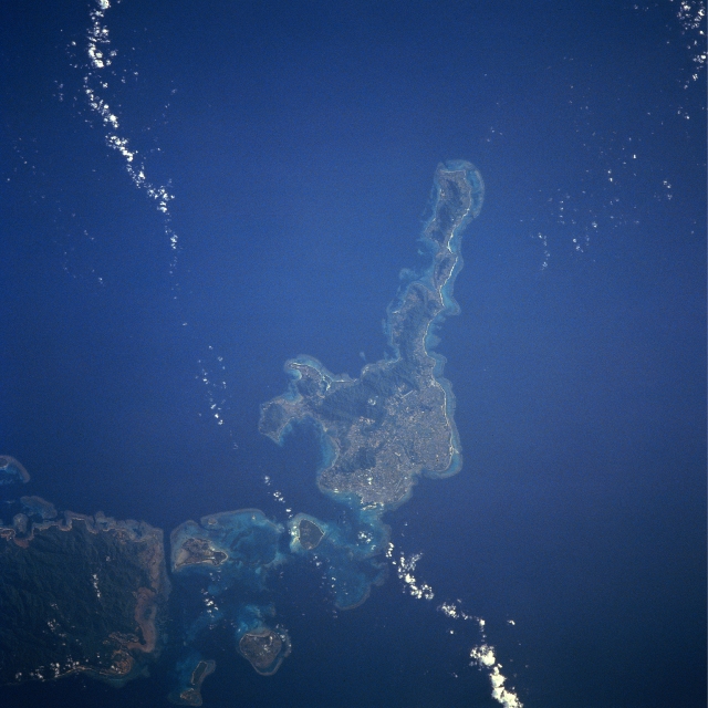 Photo: STS043-608-38