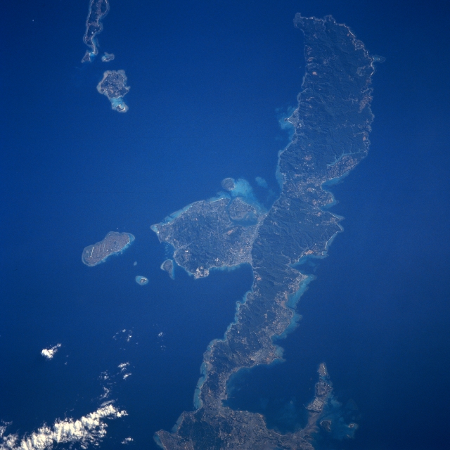 Photo: STS043-608-46