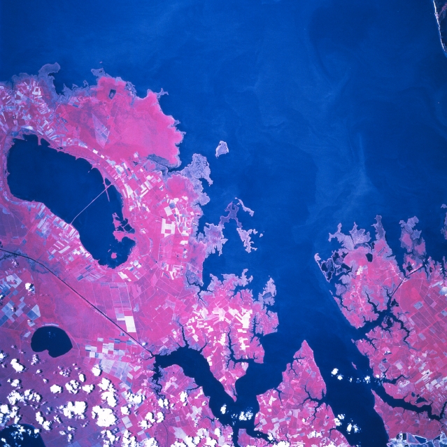 Photo: STS078-758-48