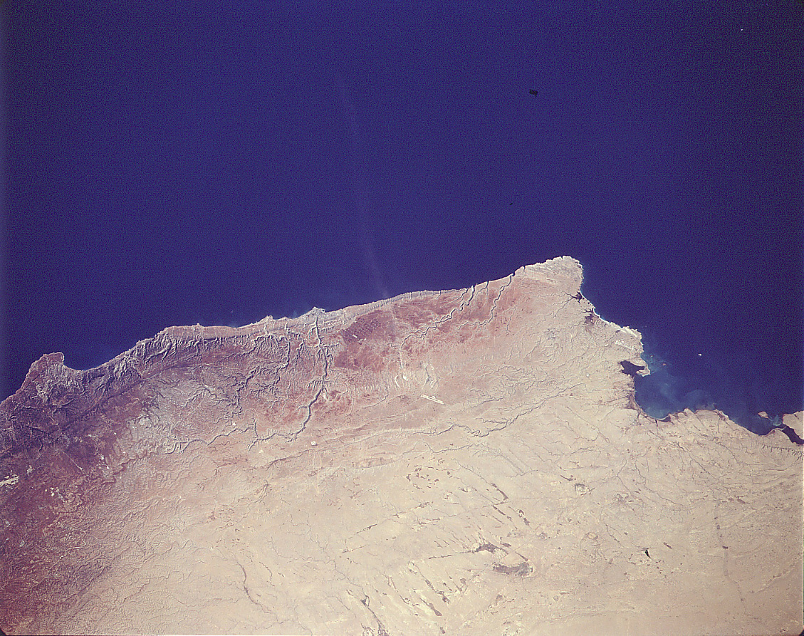 Image display