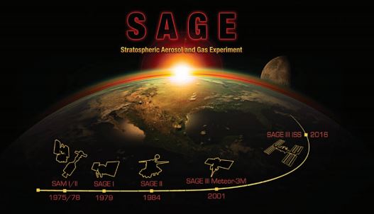 sage